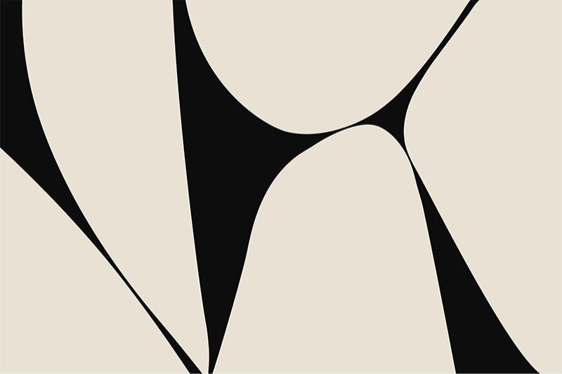 Monochrome Flow Art Carpet - Cozy Furniture & Lifestyle