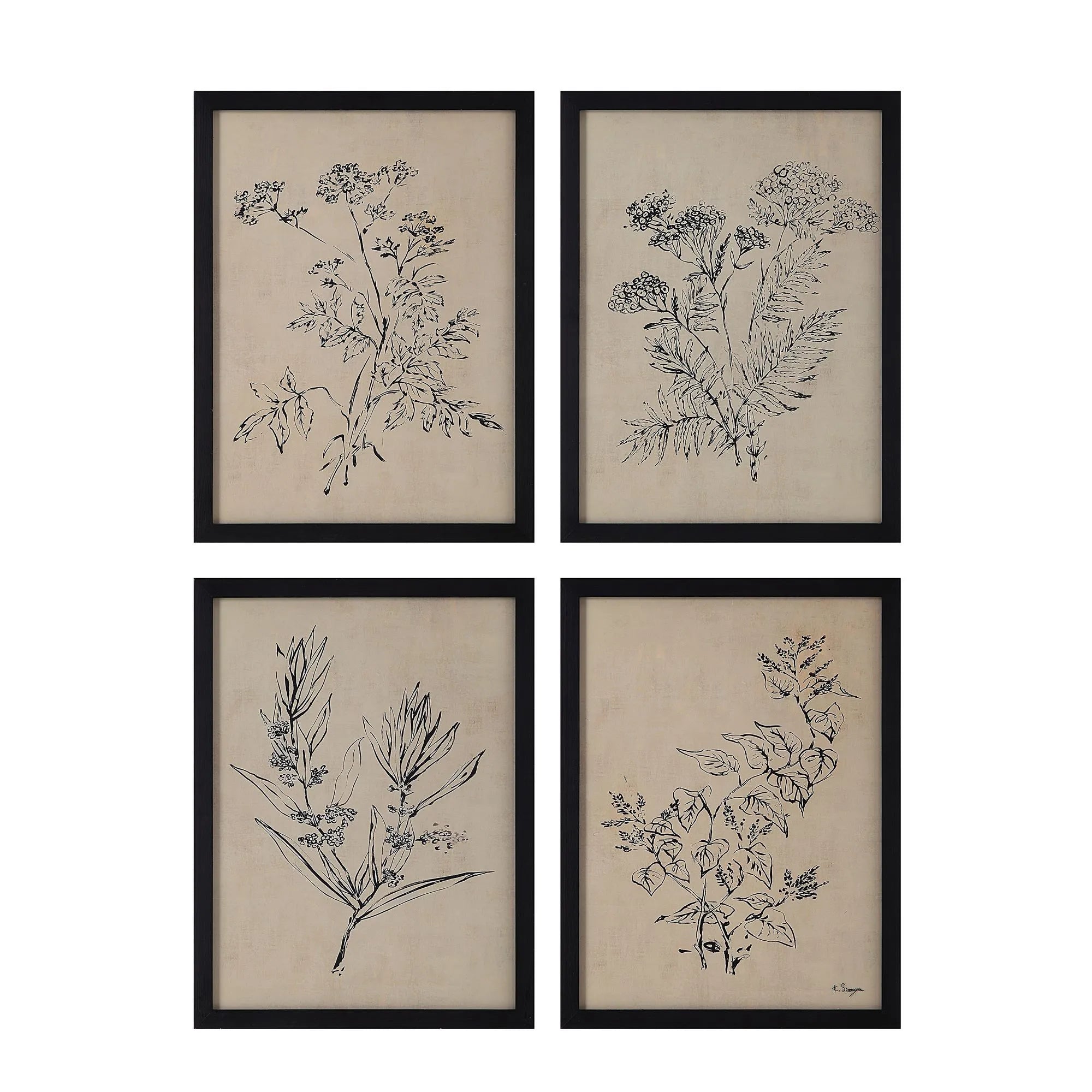 Herbarium Noir botanical wall art set of 4 framed prints featuring vintage black ink plant sketches on beige background