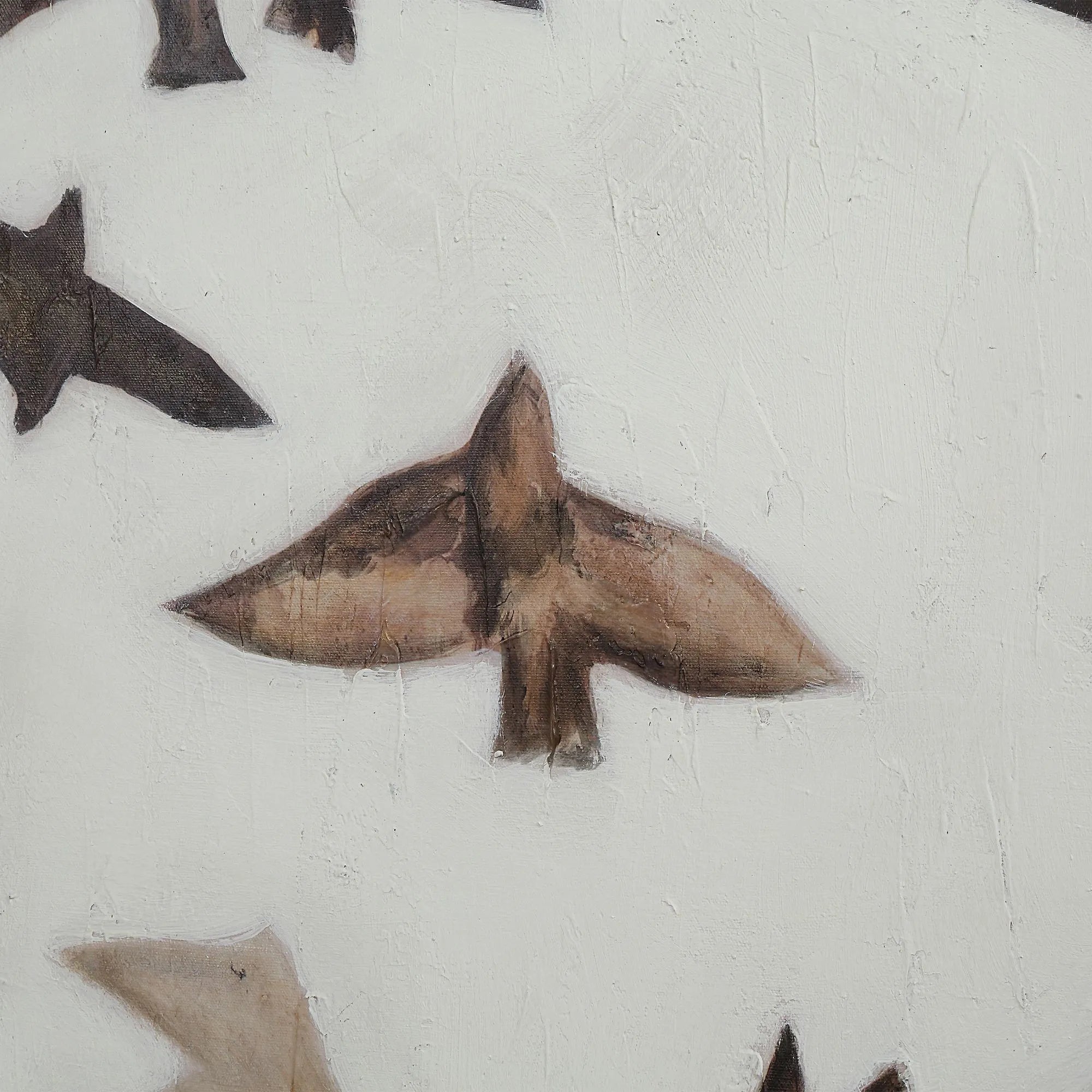 Close up detail of heavy impasto brushwork texture on the wings of the painted birds.