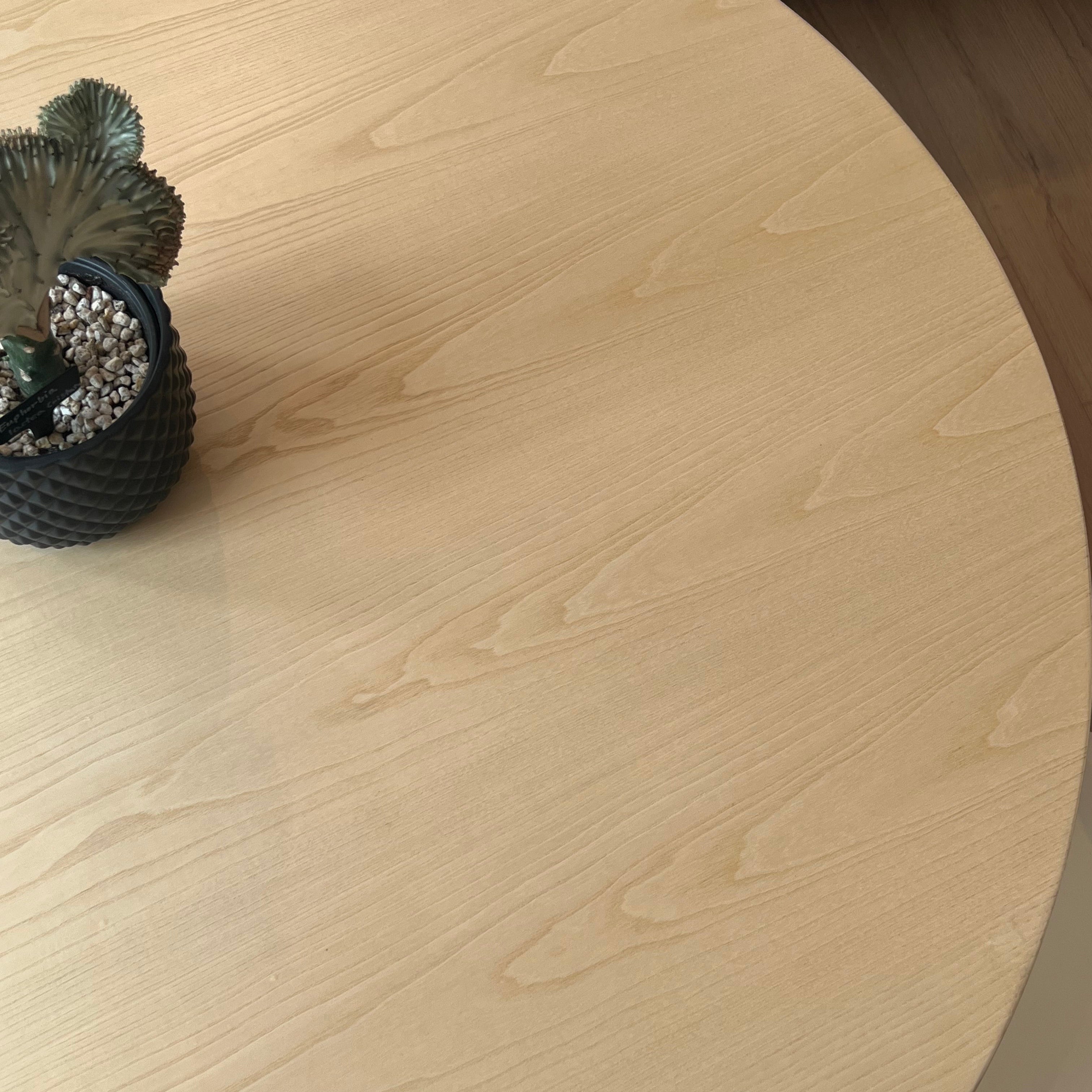 Close-up of Willow Ridge round dining table showing smooth ash wood grain and potted plant