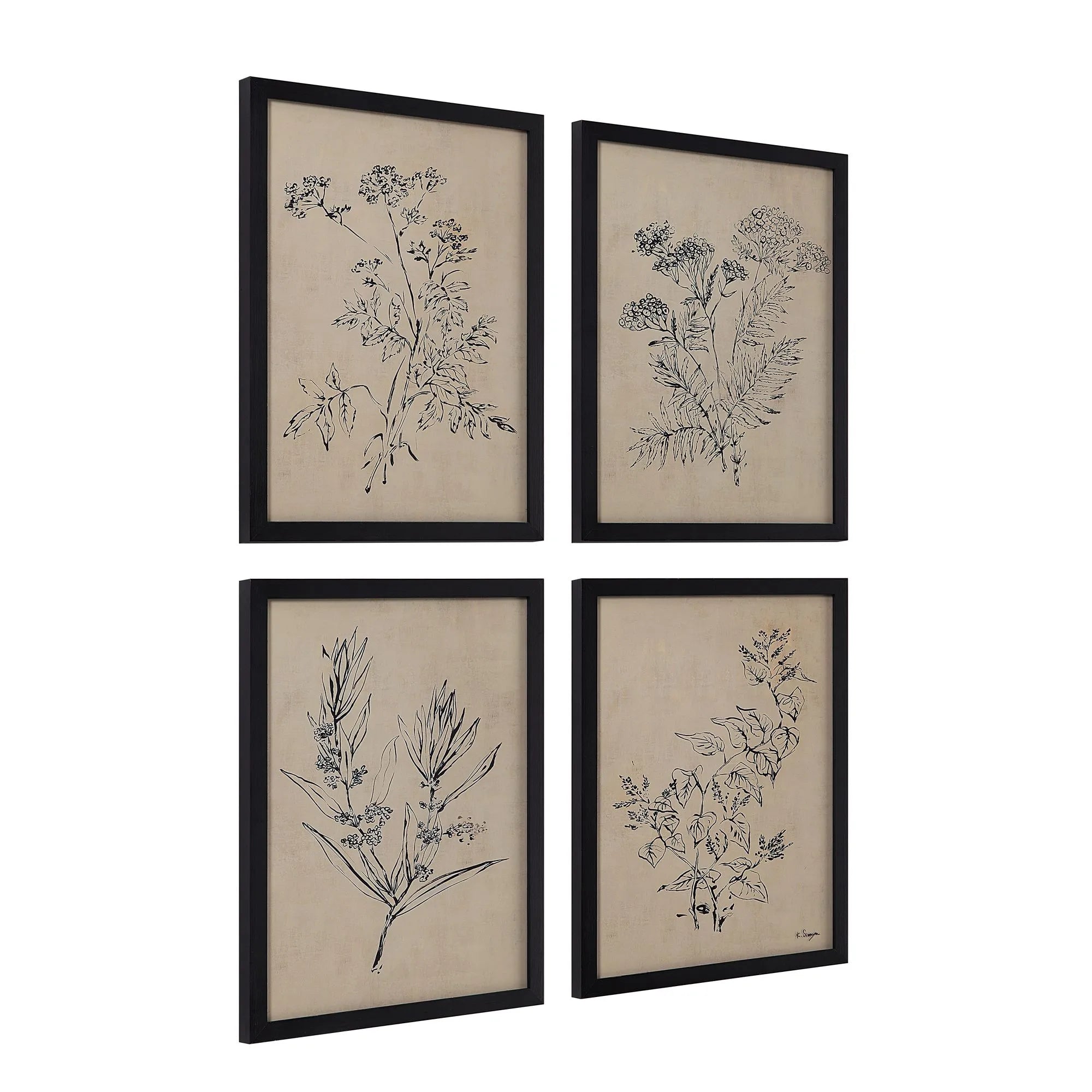 Angled side view of Herbarium Noir wall art set showing the depth of the black frames and glass cover