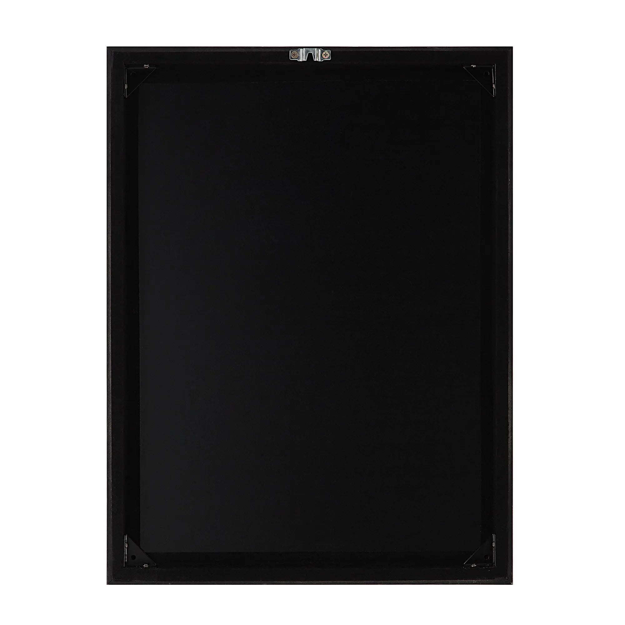 Back view of Herbarium Noir framed art showing clean black backing and installed metal mounting hardware