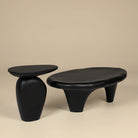 Pebble coffee table set featuring a low organic-shaped center table and matching tall side table in a smooth matte black finish.
