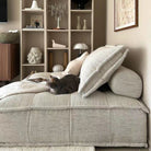 Side view of Tofu Modular Sofa in linen fabric with a cat lounging on top, styled in warm neutral living space with bookshelf decor